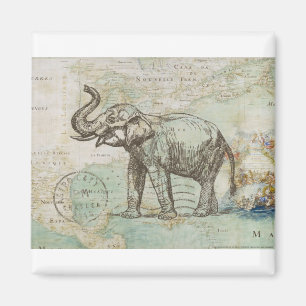 NOB174 Stamm 2.tif Magnet