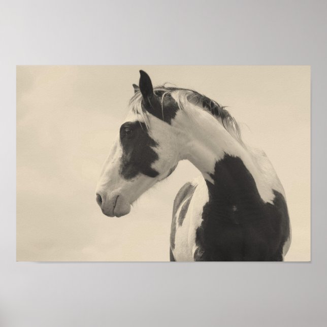 Nobel Beast Poster (Vorne)