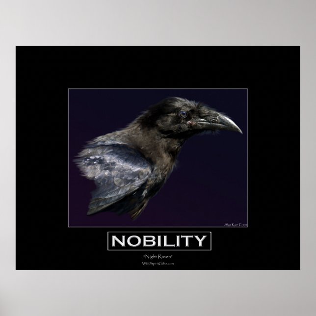 NOBILITÄT Motivierend Raven Portait Poster (Vorne)