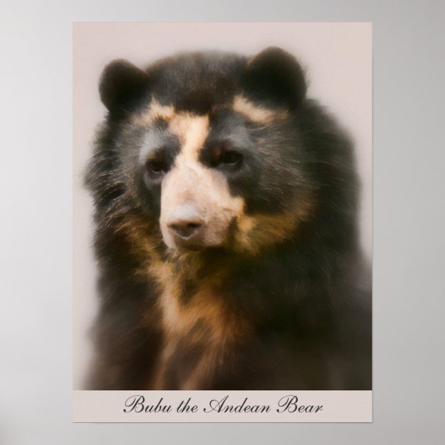 Noble Bubu Portrait Poster (Vorne)