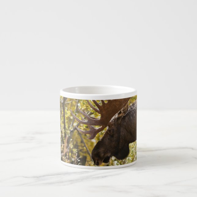 Noble Bull Moose Espressotasse (Vorderseite)