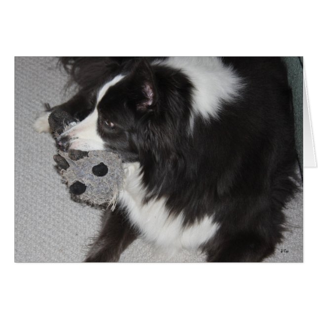 Noble Lady (Vorderseite (Horizontal))