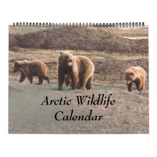 Nobles arktisches Tier-Alaska-Foto entworfen Kalender