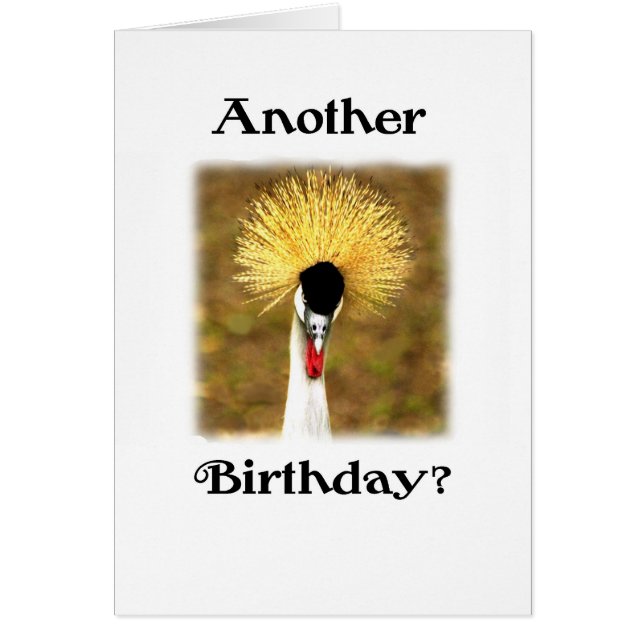 Noch ein Geburtstag? Karte für Senioren (Vorne)