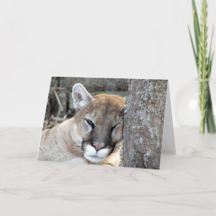 Noch ein montags Cougar Karte