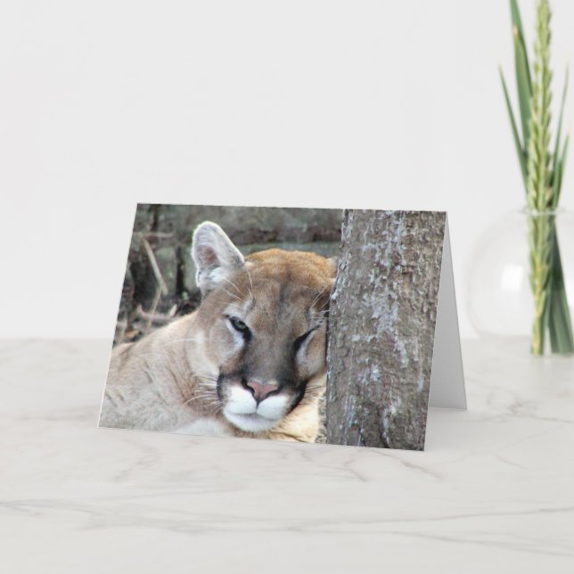 Noch ein montags Cougar Karte (Vorderseite)