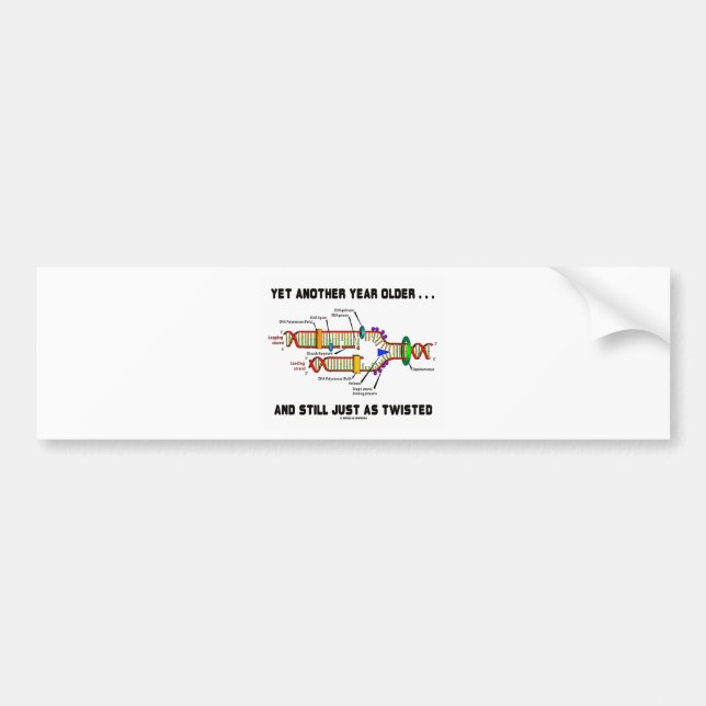 Noch eins Jahr älter noch gerade als verdrehte DNS Autoaufkleber (Vorne)