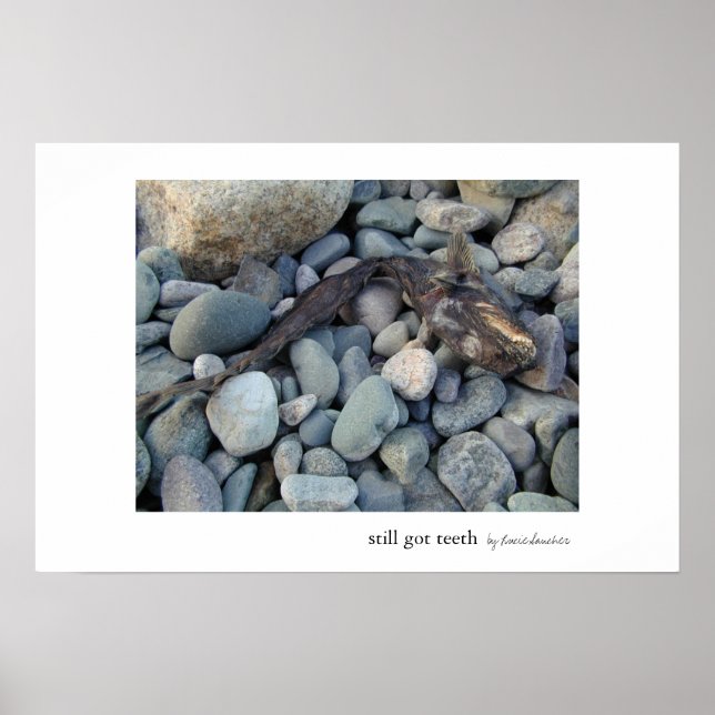 Noch Got Zähne Poster (Vorne)