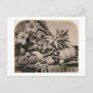 Noch Leben mit Frucht, 1860 (Sepia-Foto) Postkarte