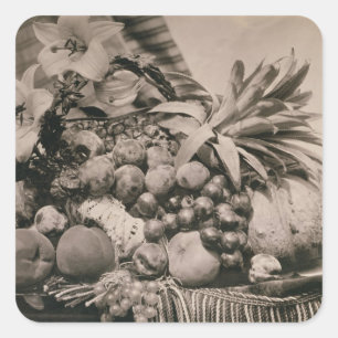 Noch Leben mit Frucht, 1860 (Sepia-Foto) Quadratischer Aufkleber