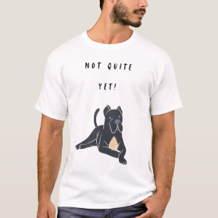 Noch nicht ganz! T-Shirt