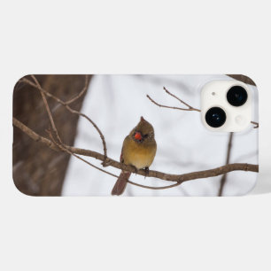 Nochmal schneit sagt Mrs. Kardinal iPhone Fall Case-Mate iPhone 14 Hülle