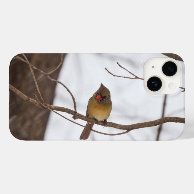 Nochmal schneit sagt Mrs. Kardinal iPhone Fall Case-Mate iPhone Hülle (Rückseite (Horizontal))