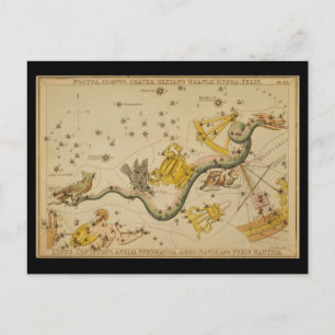 Noctua, Corvus, Hydra, Felis, Lupus, Centaurus, &c Postkarte