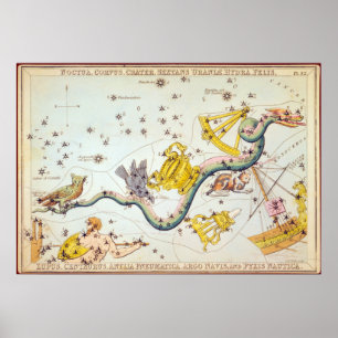 Noctua, Corvus, Krater usw. Poster