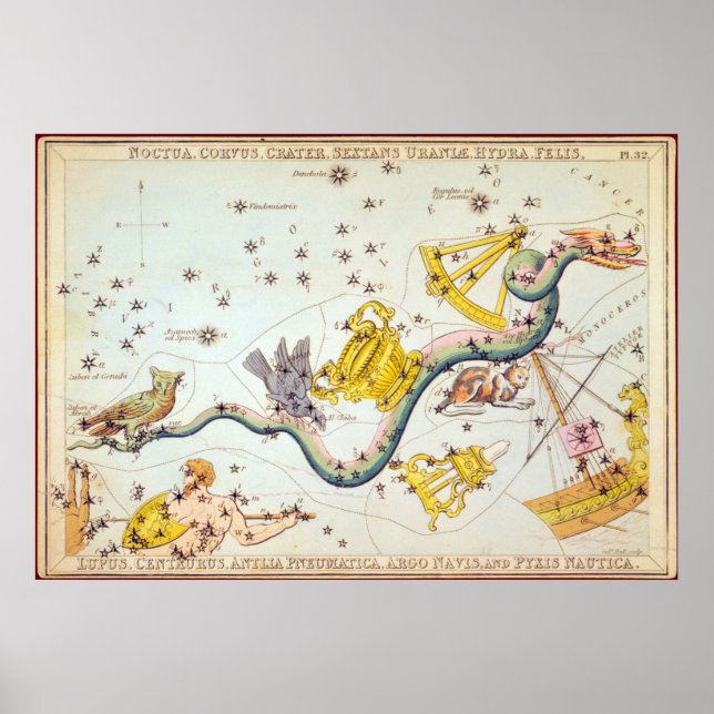 Noctua, Corvus, Krater usw. Poster (Vorne)