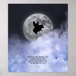 Nocturnal fliegende Schweine Poster