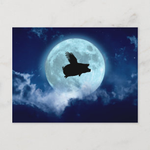Nocturnal Flying Pig Postkarte