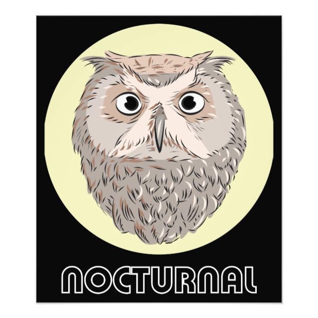 Nocturnal Owl Illustration Poster (Vorne)