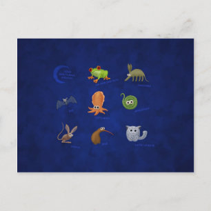 Nocturnale Tiere Postkarte