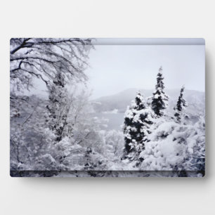 Nojiri Foto Plaque Fotoplatte