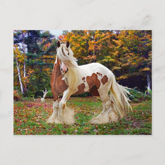 "Nokomis" Postkarte (Vorderseite)