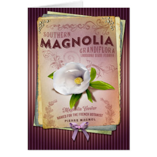 NOLA-Sammlungs-Louisiana-Magnolien-Blumen-Kunst