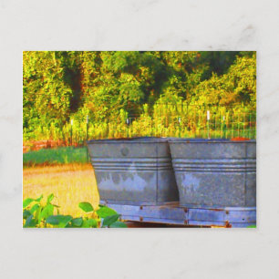 Nola's Tubs Postkarte