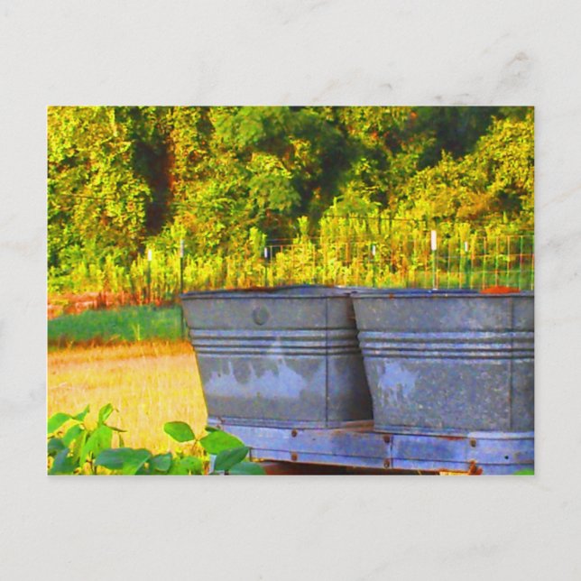 Nola's Tubs Postkarte (Vorderseite)