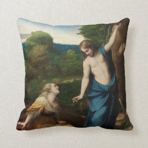 Noli ich tangere kissen