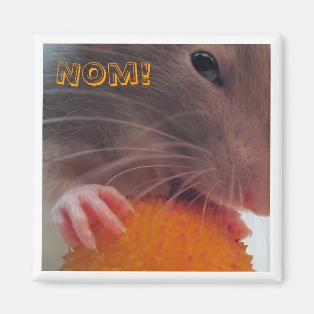 Nom! Magnet (Vorne)