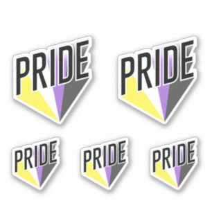 Nonbinärer Pride Burst Aufkleber