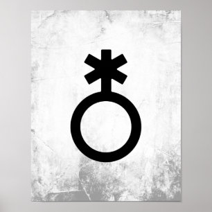 Nonbinäres Geschlechtssymbol Poster