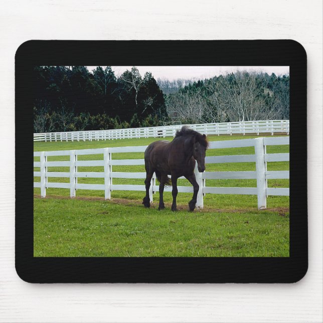 Nonesuch am Cedar Point Mousepad (Vorne)