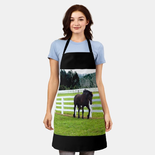 Nonesuch an der Cedar Point-Schürze Schürze (Getragen)