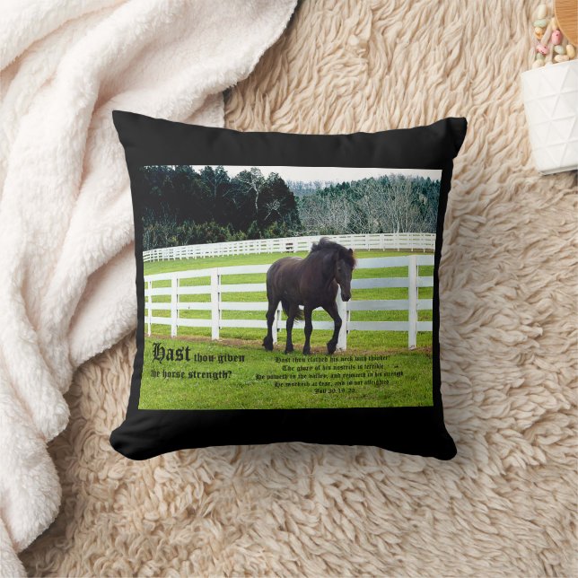 Nonesuch at Cedar Point w Job 39 Kissen (Decke)