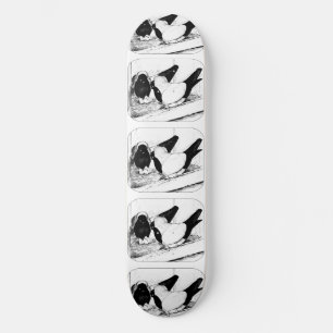 Nonnen 1980 skateboard