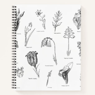 Nonsense Botany-Notebook Notizbuch