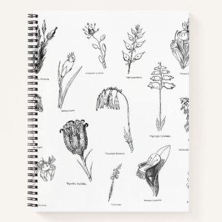 Nonsense Botany-Notebook Notizbuch