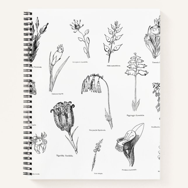 Nonsense Botany-Notebook Notizbuch (Vorderseite)