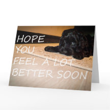 Noodle will dir, besser groß zu sein