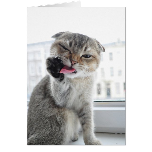 Noodles Star Trek (Vorne)