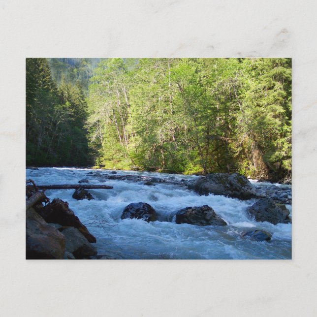 Nooksack River Postkarte (Vorderseite)