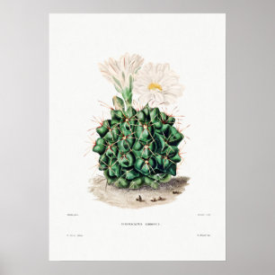 Nopal Zeichn einer Cactus Blume Cactus Pflanze Ima Poster