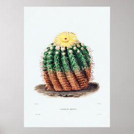 Nopal Zeichn einer Cactus Blume Cactus Pflanze Ima Poster