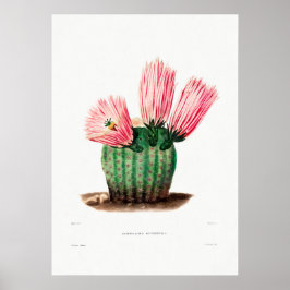 Nopal Zeichn einer Cactus Blume Cactus Pflanze Ima Poster