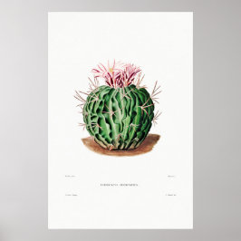 Nopal Zeichn einer Cactus Blume Cactus Pflanze Ima Poster