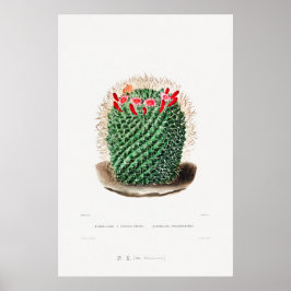 Nopal Zeichn einer Cactus Blume Cactus Pflanze Ima Poster