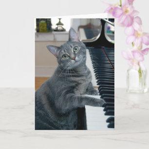 Nora The Piano Cat - Blank Folded Card - Style 004 Karte