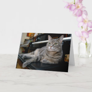 Nora The Piano Cat - Blank Folded Card - Style 005 Karte